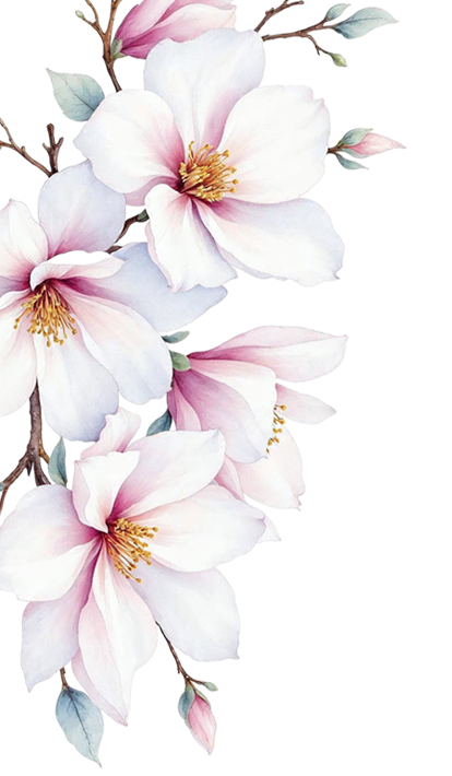 MisXV